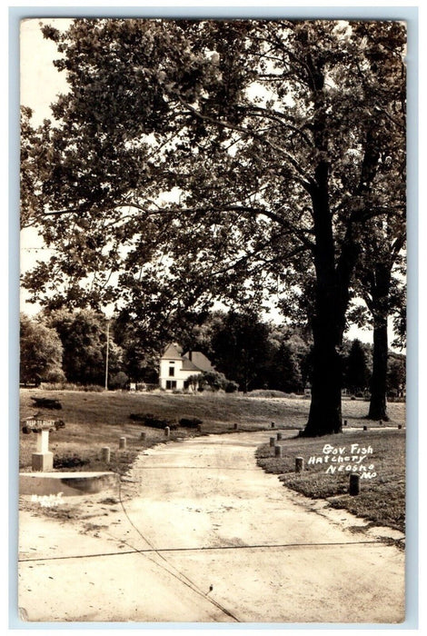 c1905 Gov. Fish Hatchery Neosho Missouri MO RPPC Photo Antique Postcard