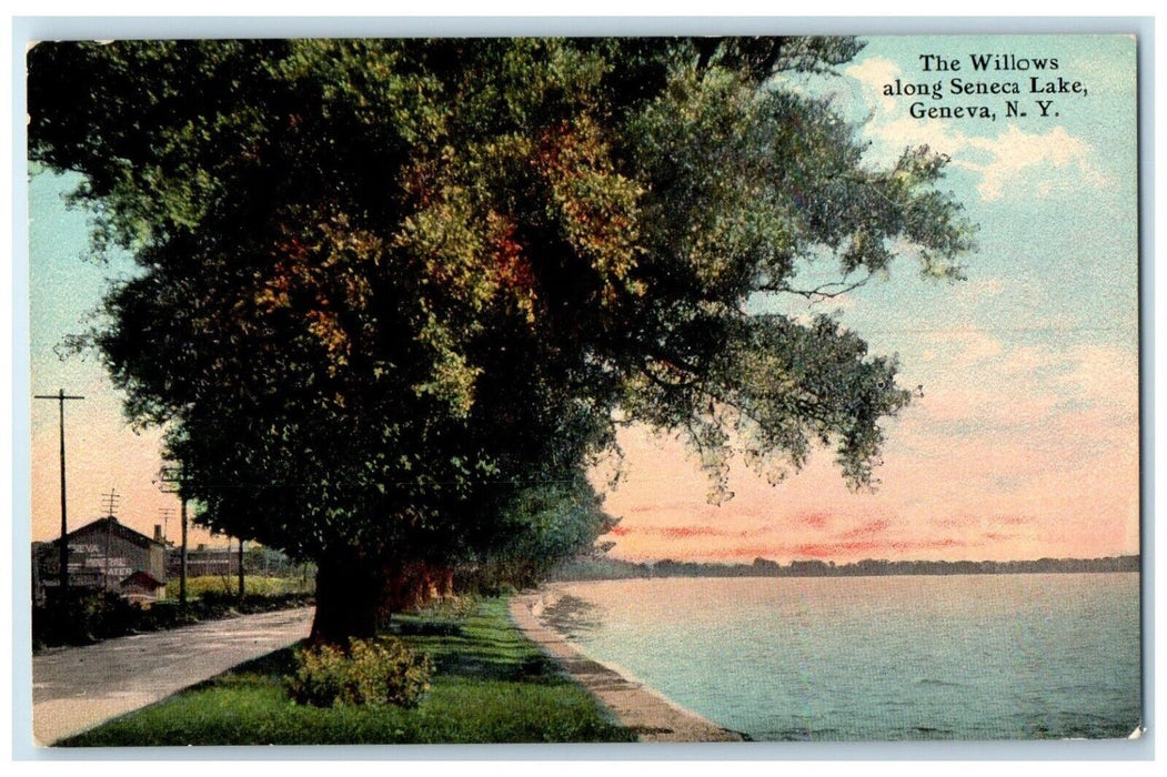 c1910 Scenic View Willow Seneca Lake Big Trees Geneva New York Unposted Postcard