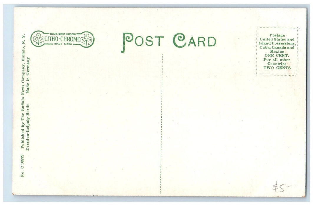 1910 Exterior View County Buildings Street Watkins Schuyler Co New York Postcard
