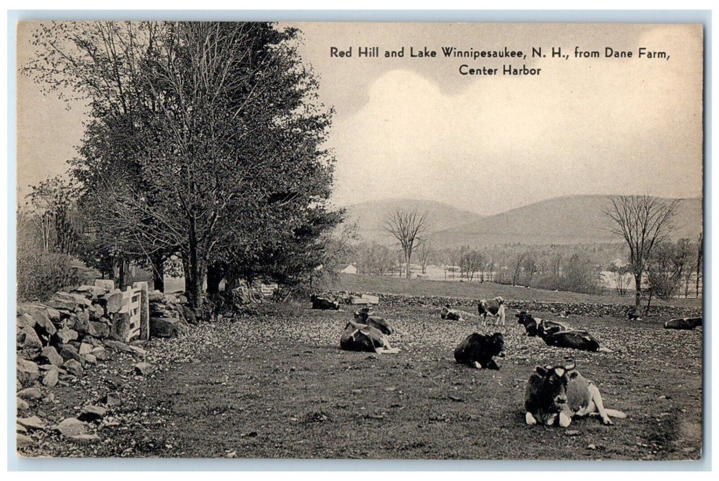c1940 Dane Farm Center Harbor Red Hill Lake Winnipesaukee New Hampshire Postcard