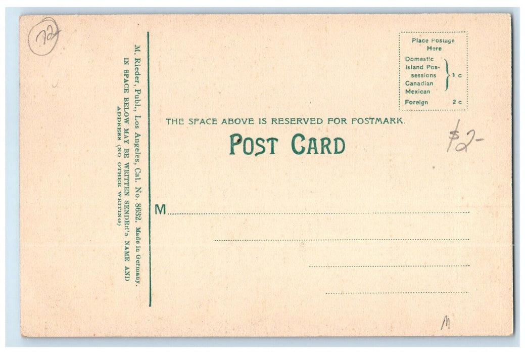 c1910 Good Catch Columbia River Salmon Published Los Angeles California Postcard