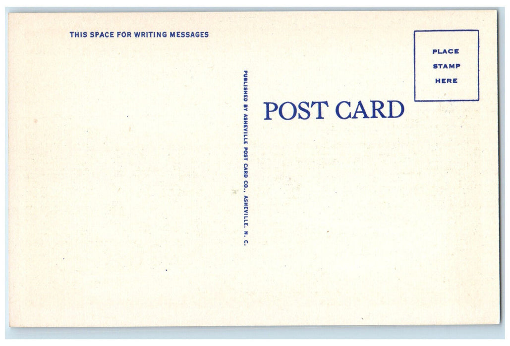 c1940's Tennessee Valley Authority's Freeway Near Norris Dam TN Postcard