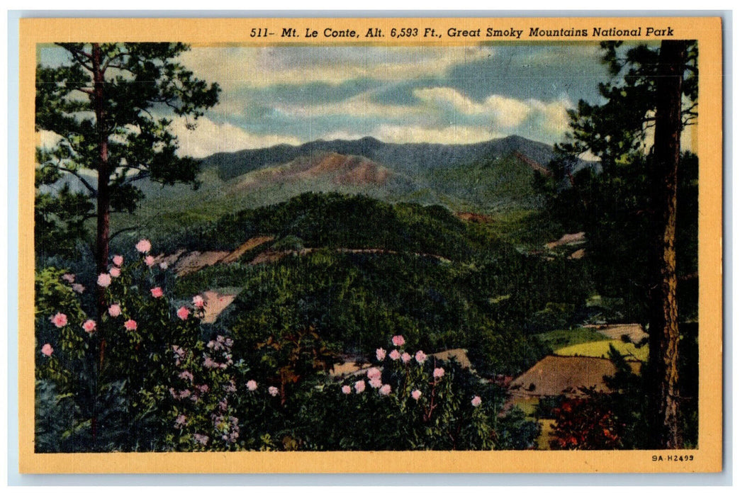 c1950's Mt. Le Conte Great Smoky Mountains National Park Tennessee TN Postcard
