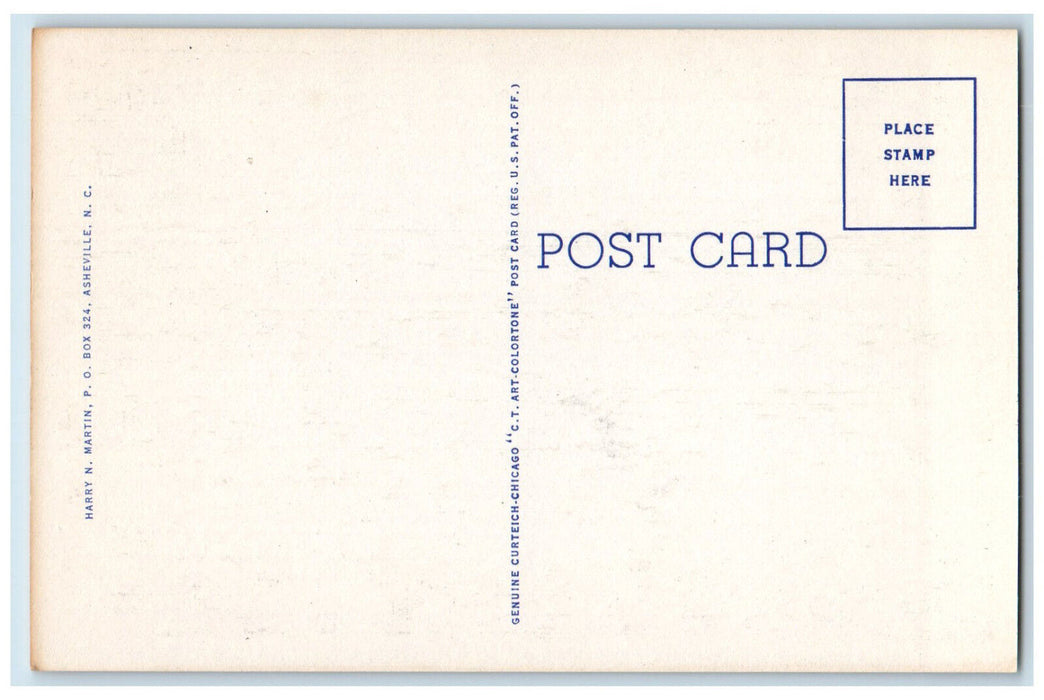 c1950's Mt. Le Conte Great Smoky Mountains National Park Tennessee TN Postcard
