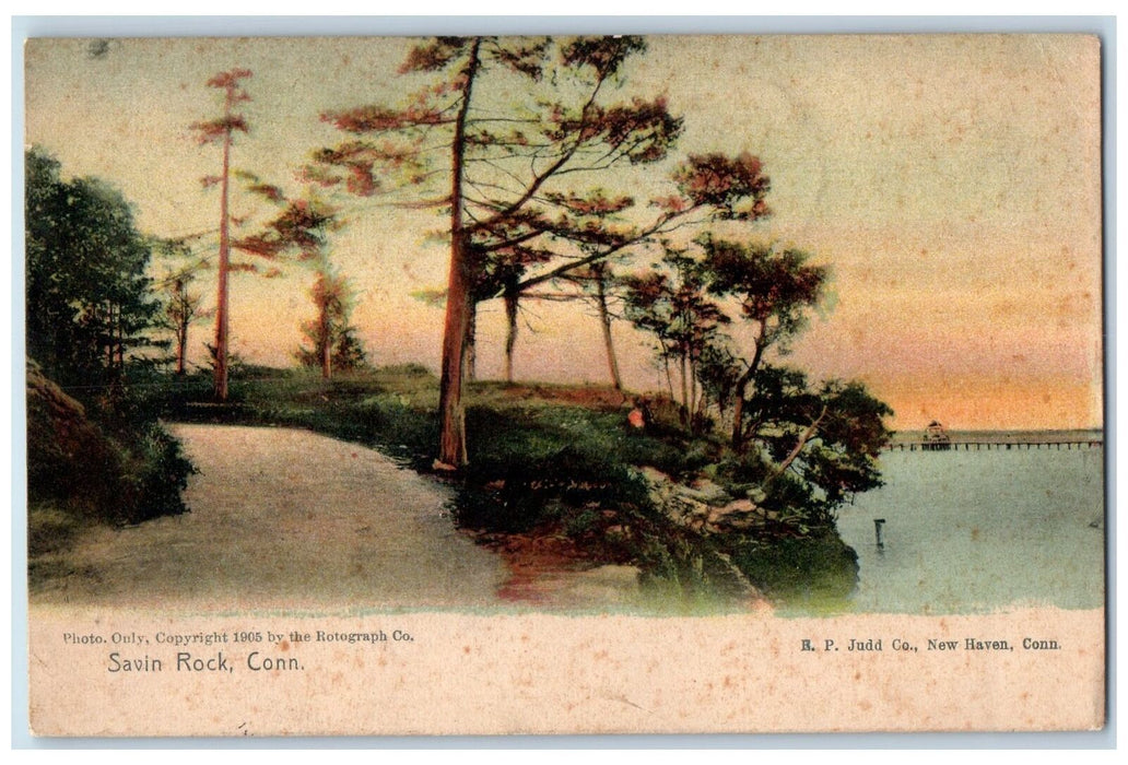 1907 Scenic View Savin Rock Boat Bridge Dirt Road Trees Connecticut CT Postcard