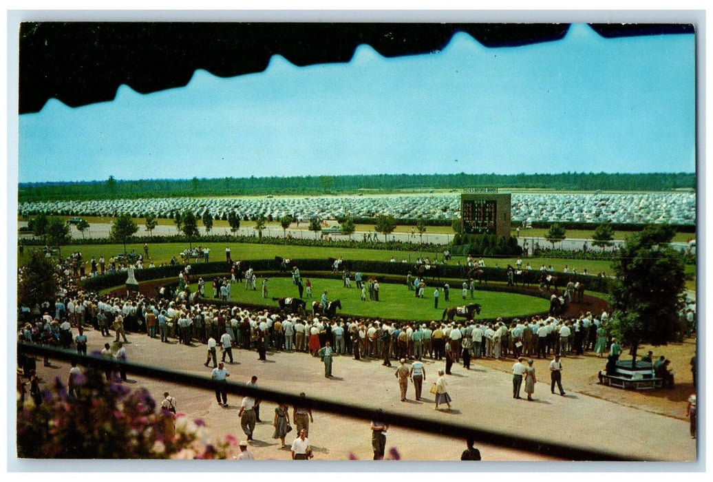 c1950's Atlantic City Race Course Paddock Walking Ring Horse Racing NJ Postcard