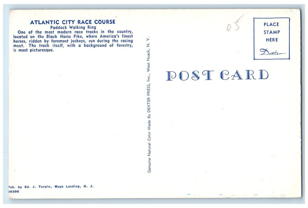 c1950's Atlantic City Race Course Paddock Walking Ring Horse Racing NJ Postcard
