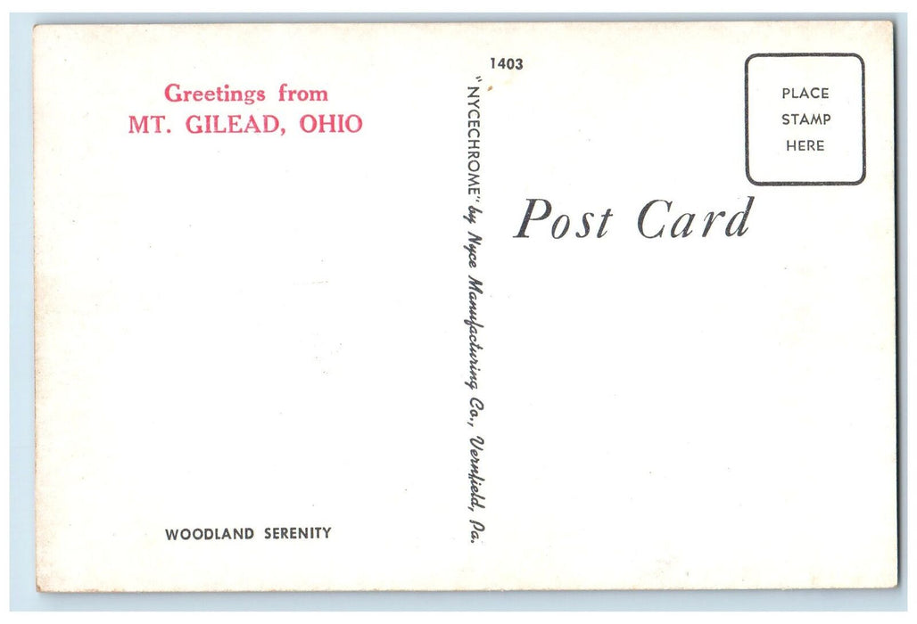 c1950's Greetings From Mt. Gilead Woodland Serenity Lake River Ohio OH Postcard