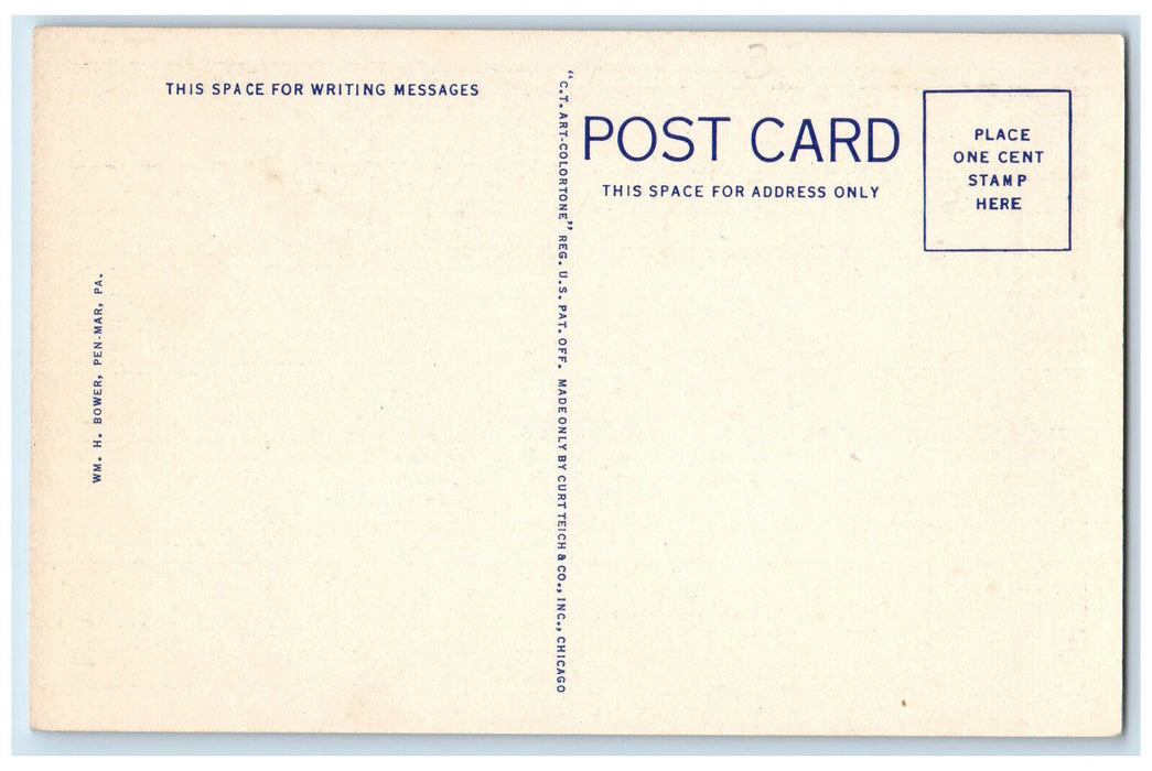 c1950's Baby Show Everybody's Day Pen-Mark Park Maryland MD Vintage Postcard
