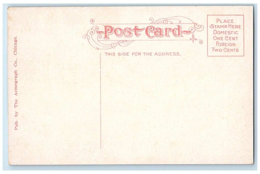 c1910 Birds Eye Aerial View Eldridge Park Reformatory Elmira New York Postcard
