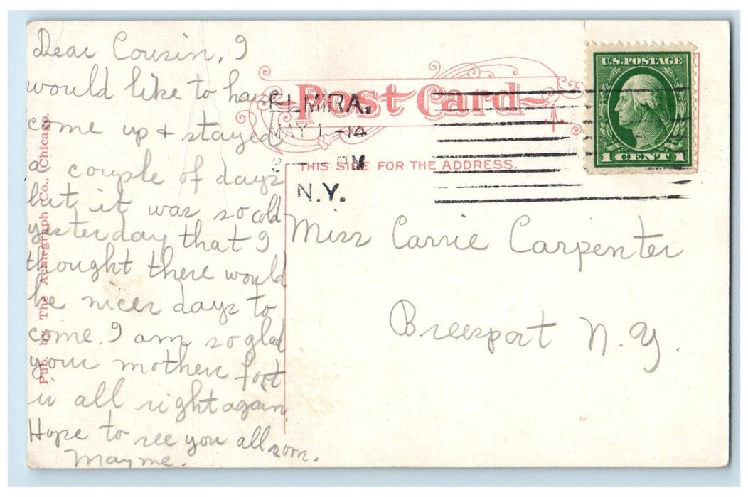 1914 Birds Eye Aerial View Lake Street Bridge River Elmira New York NY Postcard