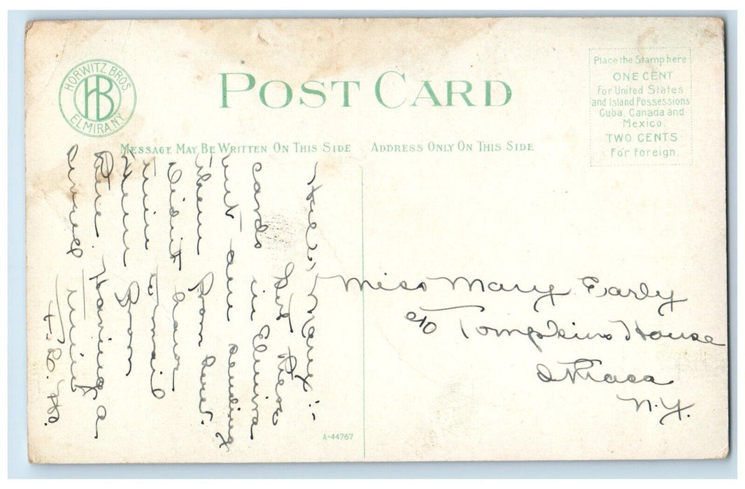 c1910 General View Roricks Glen Moonlight Moon Night Elmira New York NY Postcard