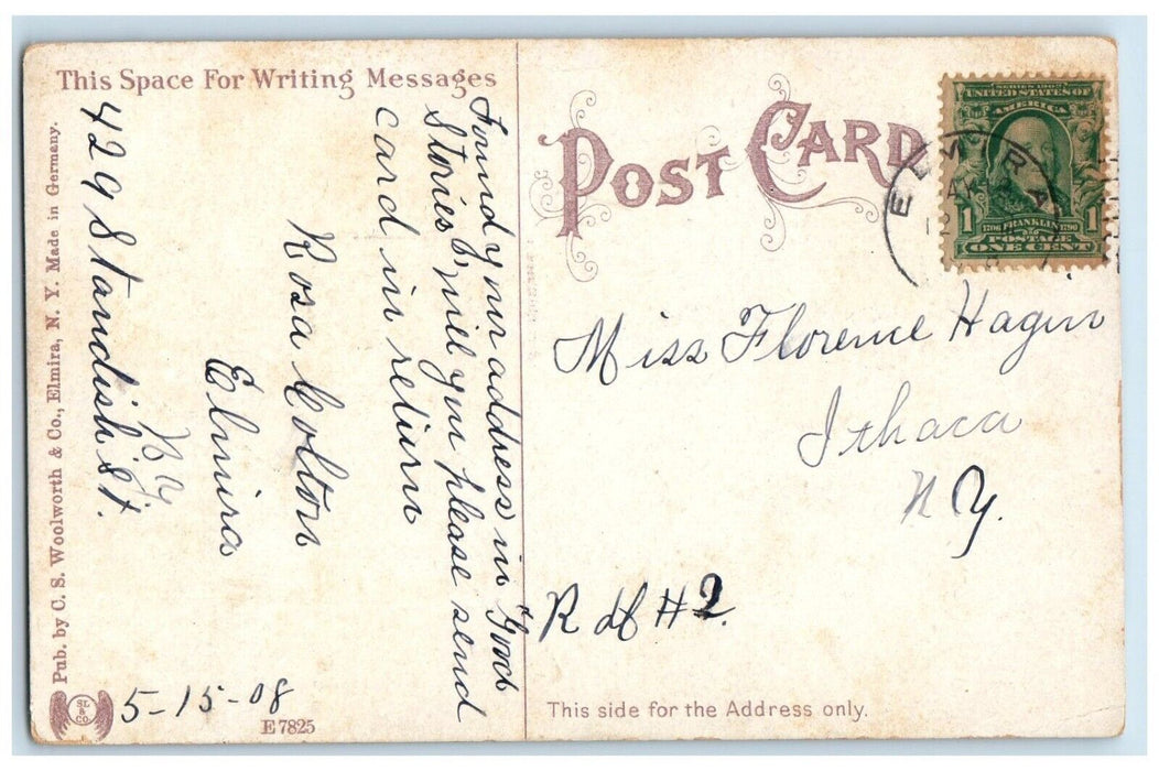 1908 The Casino Eldridge Park Exterior Street Flowers Elmira New York Postcard