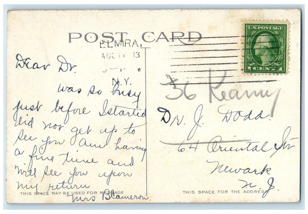 1913 Birds Eye View Roricks Glen Bridge River Lake Elmira New York NY Postcard