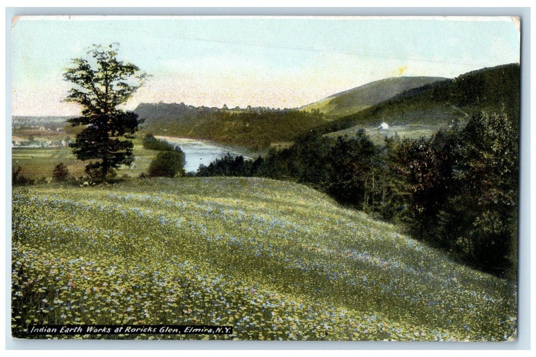 c1910 Indian Earth Works Roricks Glen Hill Flowers Elmira New York NY Postcard