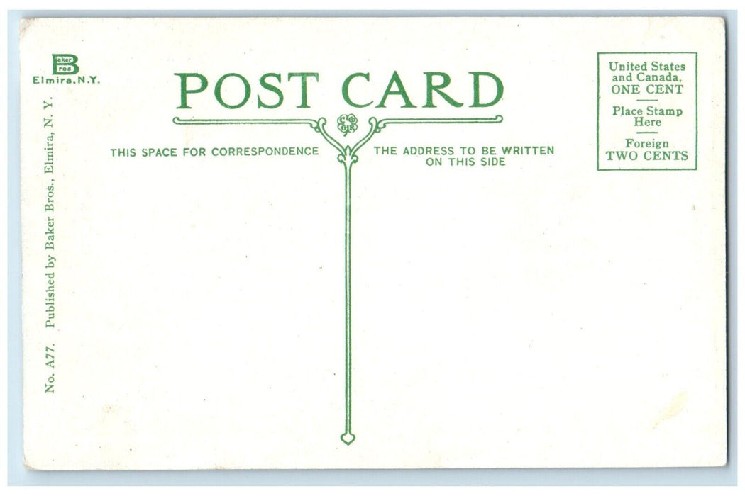 c1910 Indian Earth Works Roricks Glen Hill Flowers Elmira New York NY Postcard