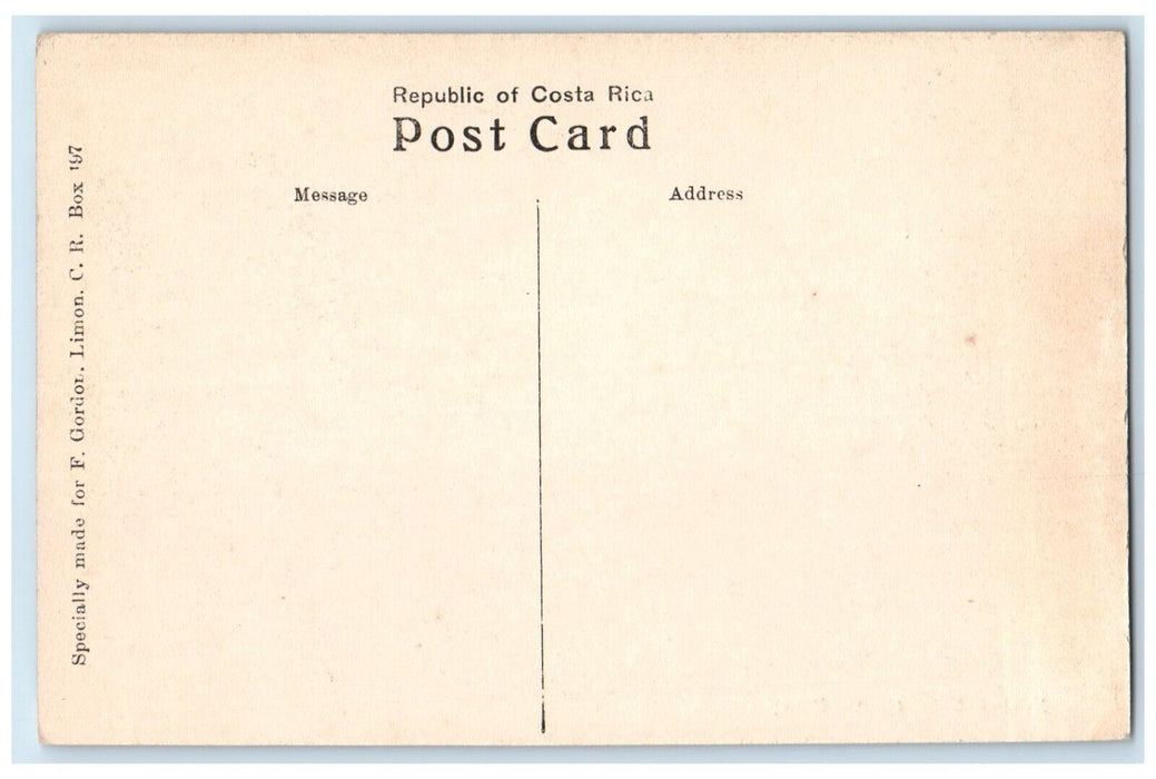 c1940's Barrels Residences Native Hut Republic of Costa Rica Vintage Postcard