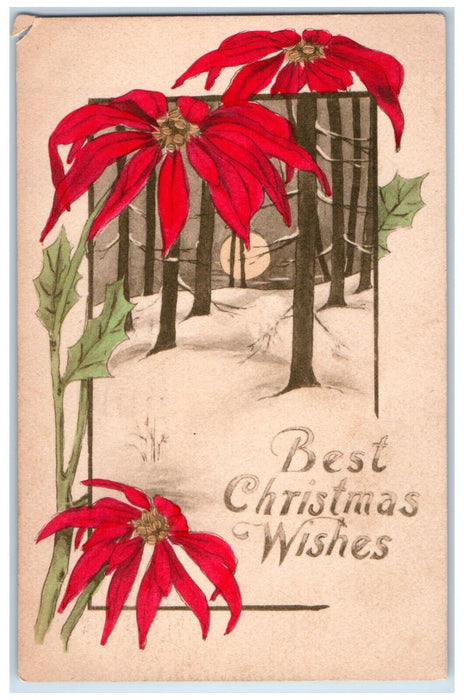 Christmas Wishes Poinsettia Flowers Moon Trees Winter Gettysburg PA Postcard