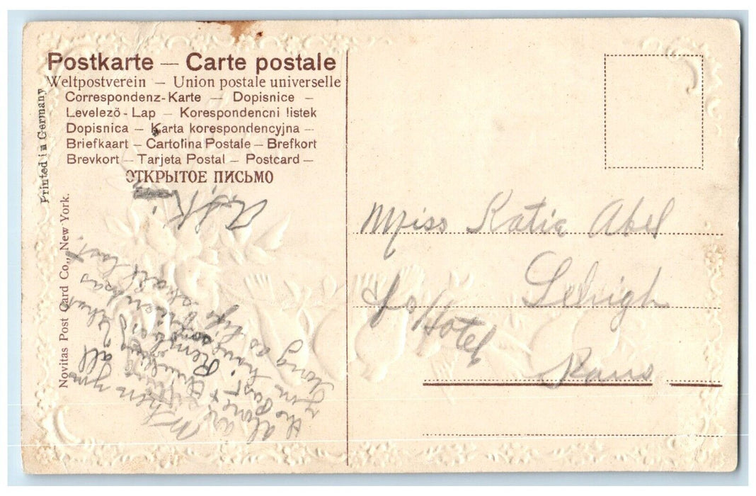 c1910 A Note From Lehigh Dove Birds Flower Embossed Glitter Kansas KS Postcard
