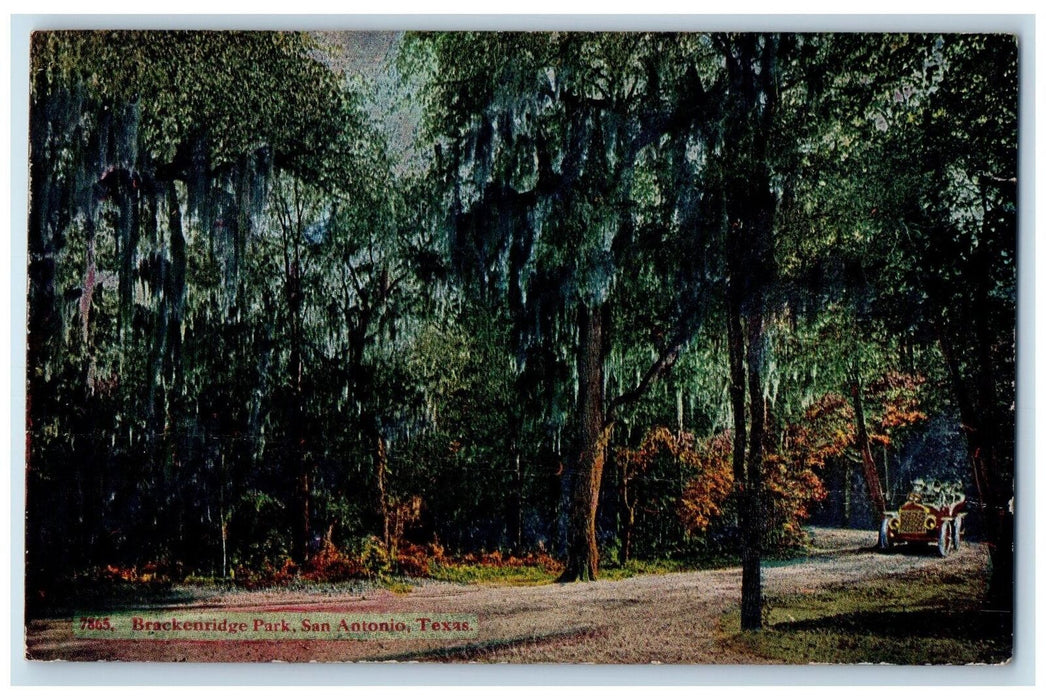 c1940's Brackenridge Park Trees San Antonio Texas TX Unposted Vintage Postcard