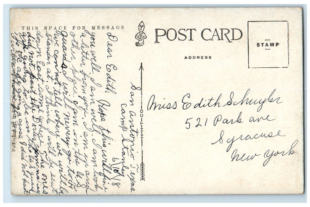 c1940's Brackenridge Park Trees San Antonio Texas TX Unposted Vintage Postcard