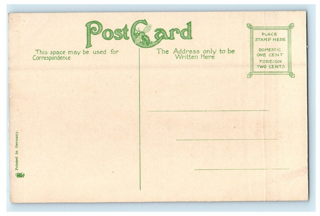 c1910 View Of Toll Bridge Springfield Massachusetts MA Antique Postcard