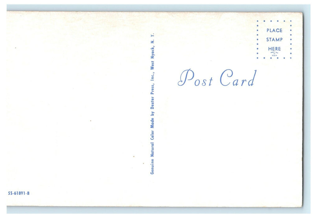 1938 "We Miss Ike, We Even Miss Harry" Vintage Political Advertising Postcard