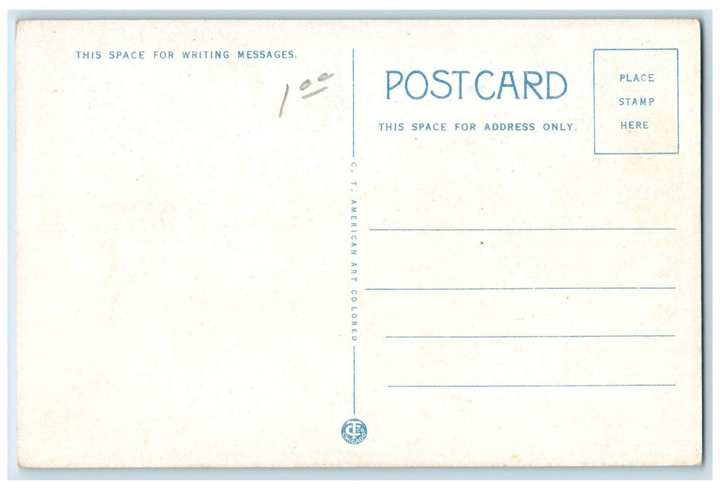 c1920s Bird's Eye View University Of Nebraska Lincoln Nebraska NE Tree Postcard