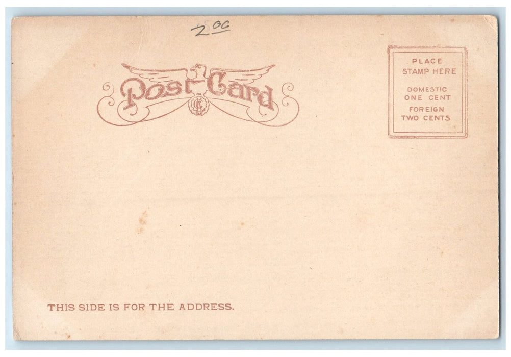 c1905s Interior Catholic Church Interior Columbus Nebraska NE Unposted Postcard