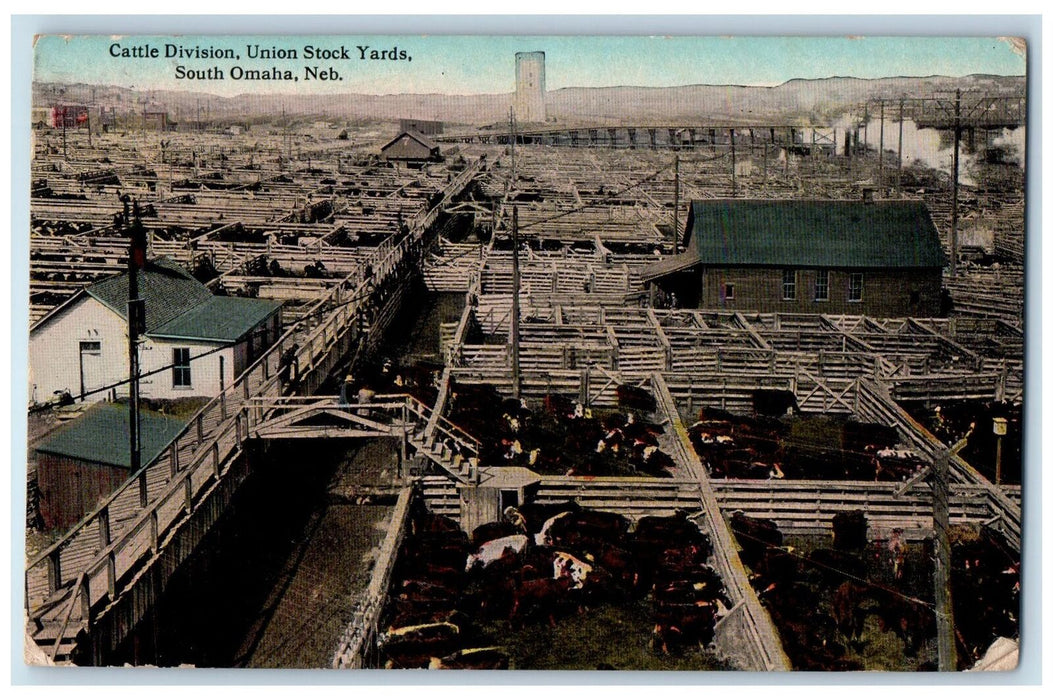 1912 Cattle Division Union Stock Yards South Omaha Nebraska NE Posted Postcard