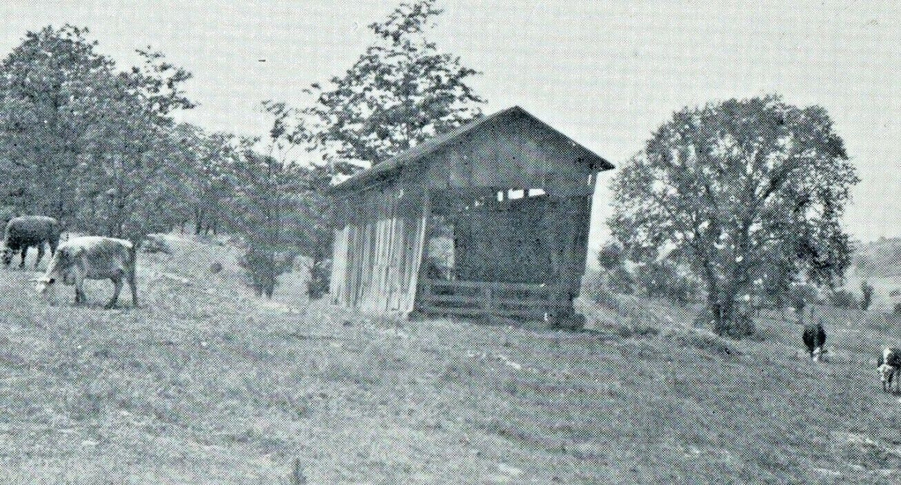 c1930 Batesville Covered Bridge Noble County Ohio OH Unposted Vintage Postcard