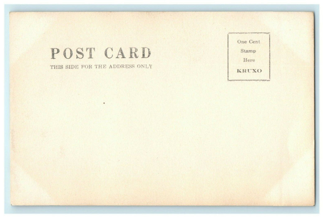 Bird's Eye View Battle Creek Nebraska RPPC Photo Circa 1905 Antique Postcard