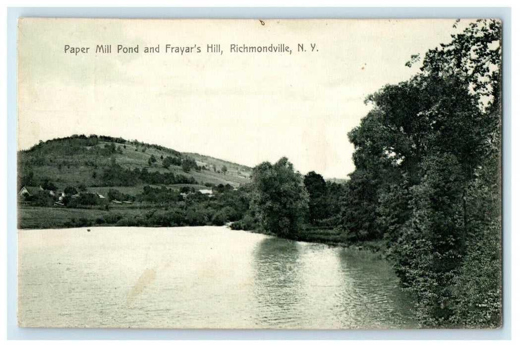 1910 Paper Mill Pond And Frayar's Hill Richmondville New York NY Postcard
