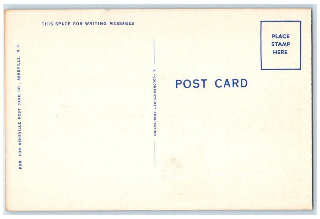 c1930's View Of Curve Road Car Maryville Tennessee TN, Pennant Flowers Postcard