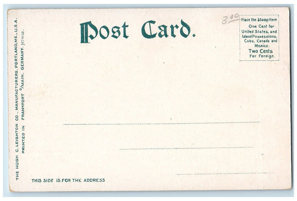 c1905 View Of Along The Hoosatonic River Lee Massachusetts MA Antique Postcard