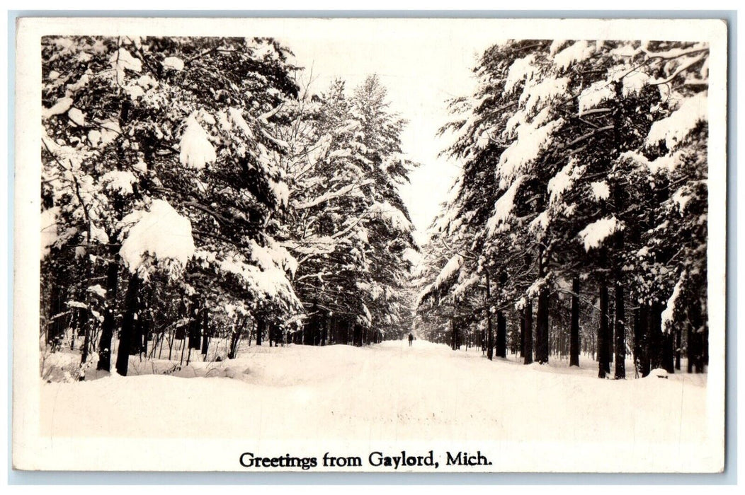 1940 Greetings From Gaylord Snow Scene Winter Trees MI RPPC Photo Postcard