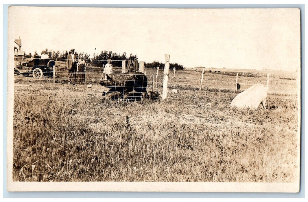 c1920s Farm View Pigs Piglets Sow Farming Hog Men Woman Girl RPPC Photo Postcard