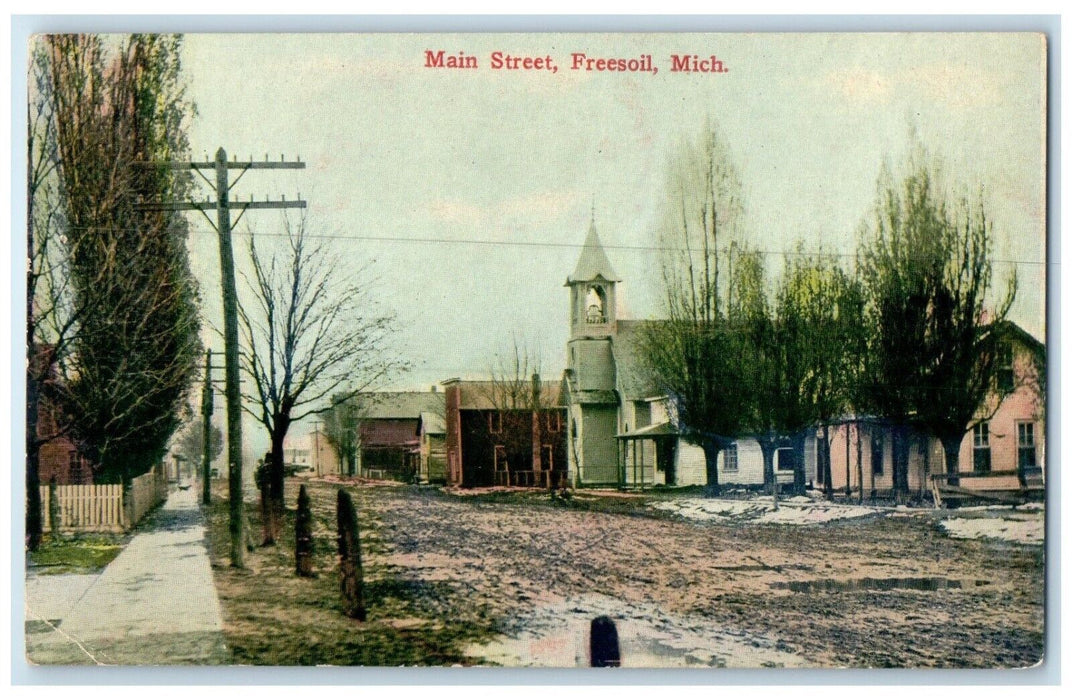 c1910 Main Street Sidewalk Trees Church Road Freesoil Michigan Vintage Postcard