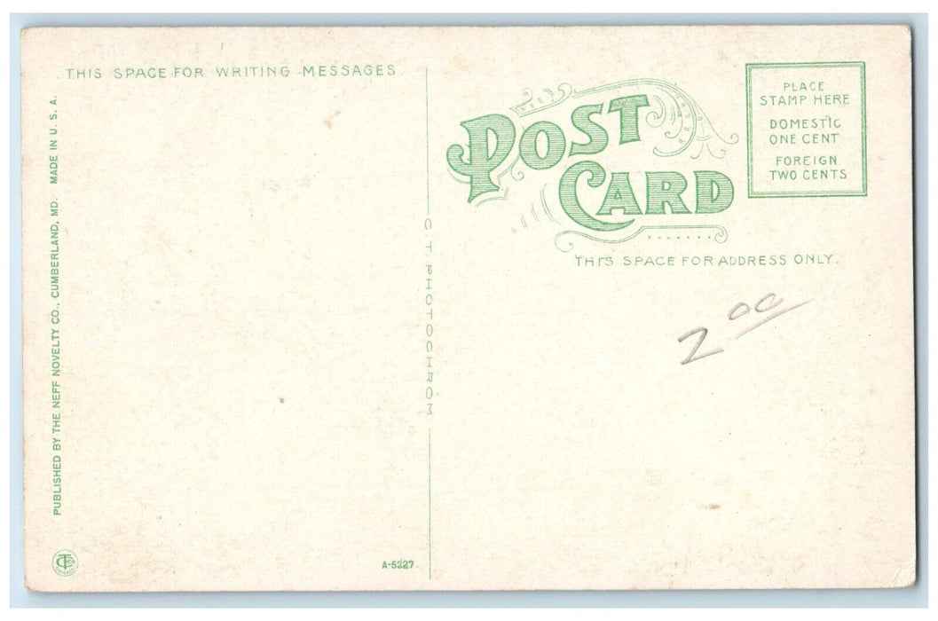 c1910 Roadside View Allegany County High School Cumberland MD Vintage Postcard