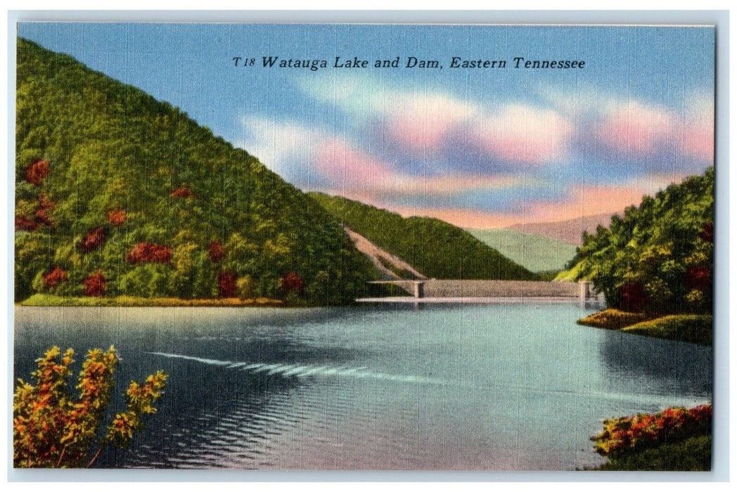 View Of Watauga Lake And Dam Eastern Tennessee TN Unposted Vintage Postcard