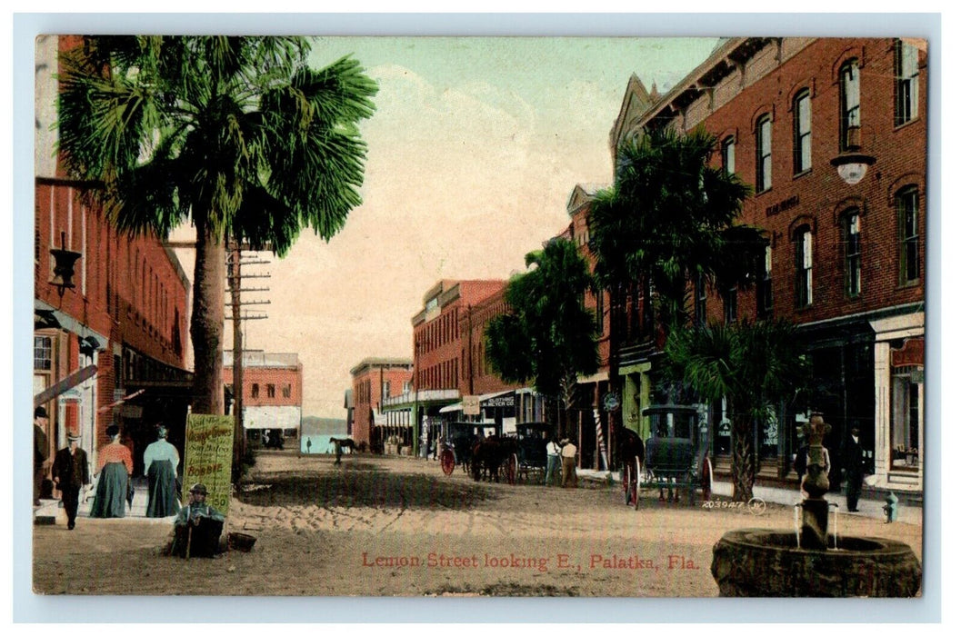 1908 Lemon Street Palatka Florida FL Water Fountain Horse Carriage Postcard