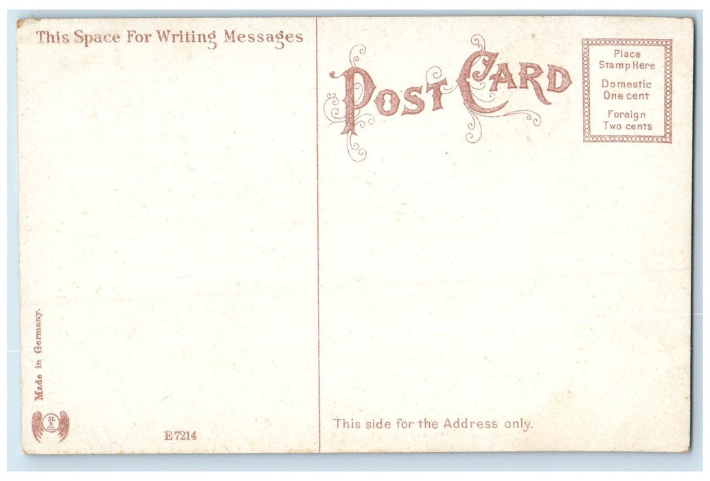 c1910's Santa Rosa Hospital Aerial View San Antonio Texas TX Unposted Postcard