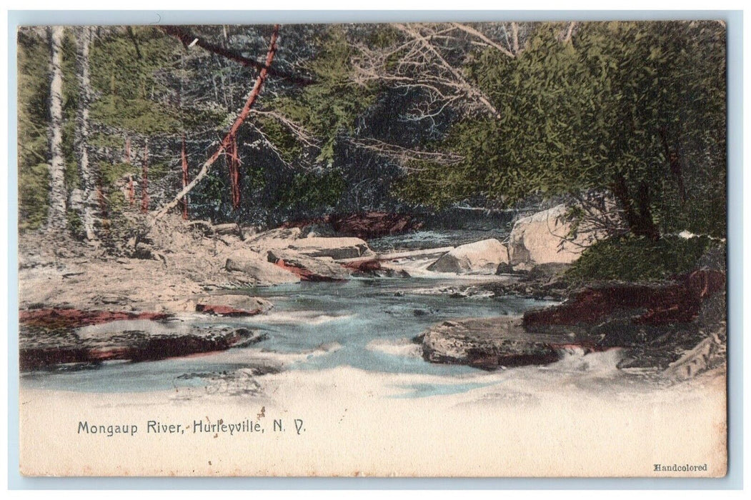 1906 Mongaup River Sullivan County Hurleyville New York NY Antique Postcard