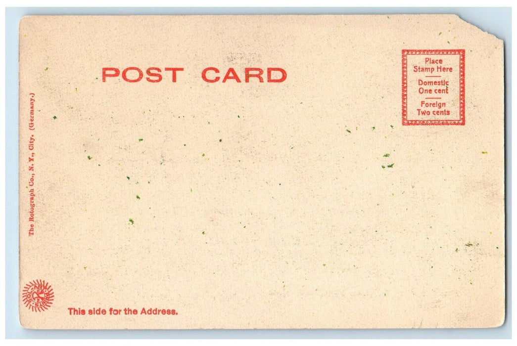 c1905 The Village Street Lanesboro Massachusetts MA Rotograph Antique Postcard