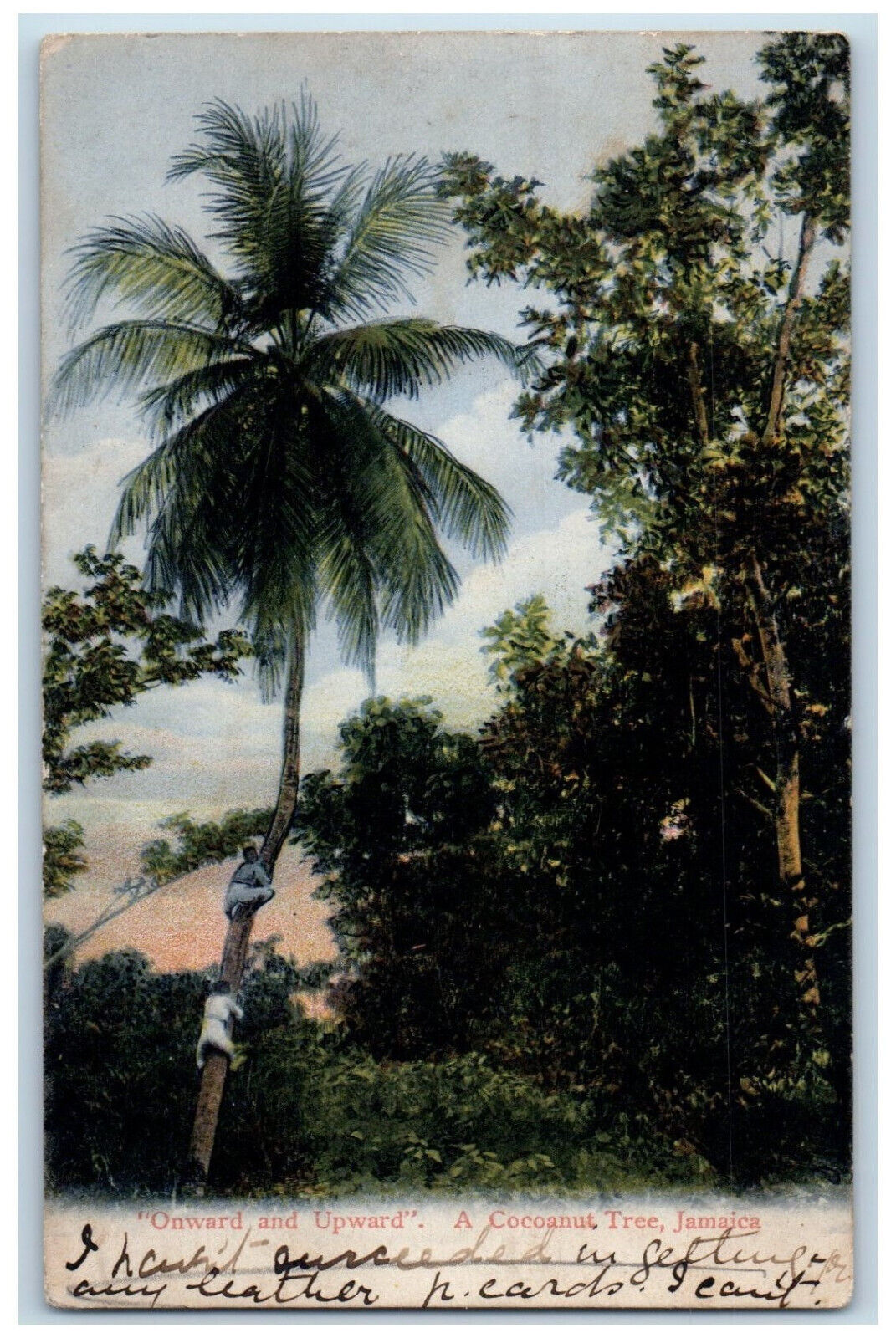 Jamaica
