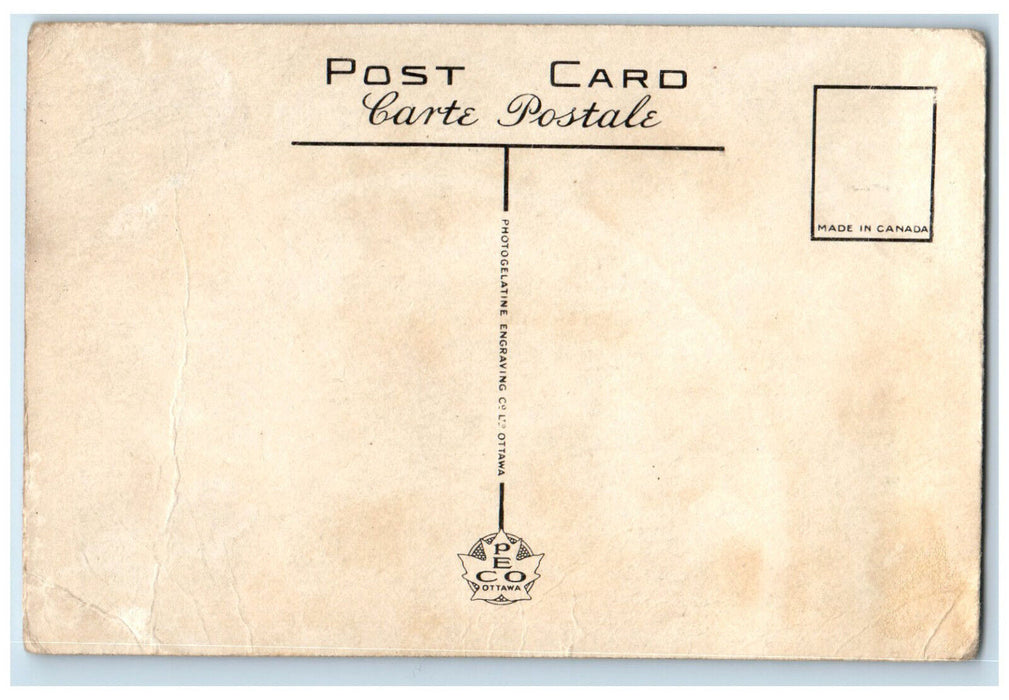 c1950's Apple Blossoms Annapolis Valley Nova Scotia Canada Vintage Postcard