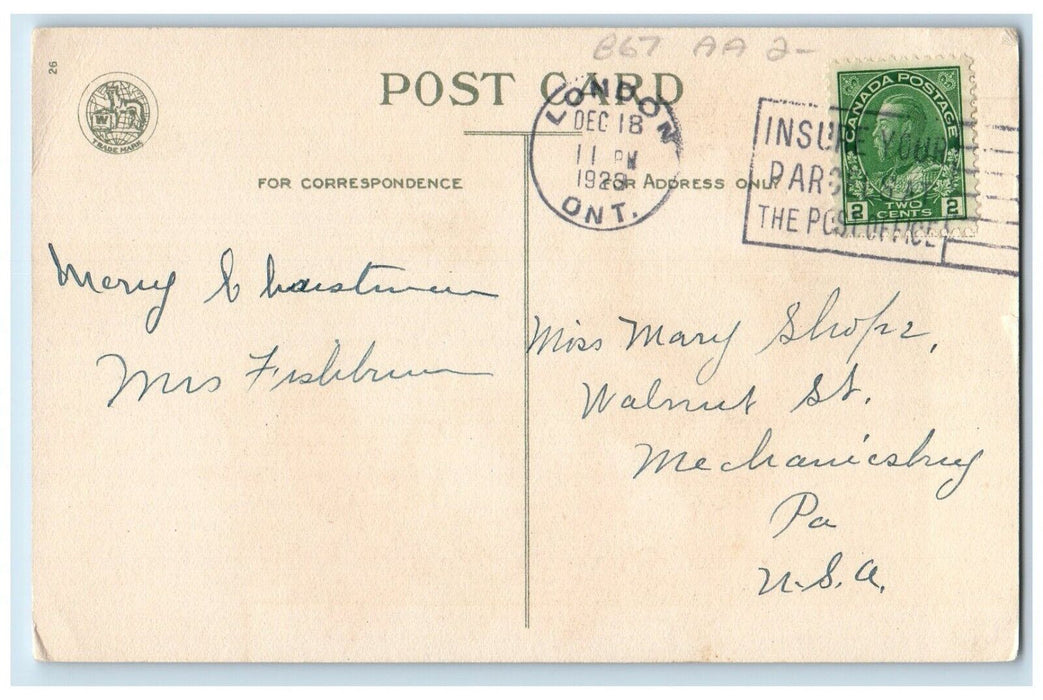 1920 Christmas Poinsettia Flowers Mill Winter Dog London Ontario Wolf Postcard