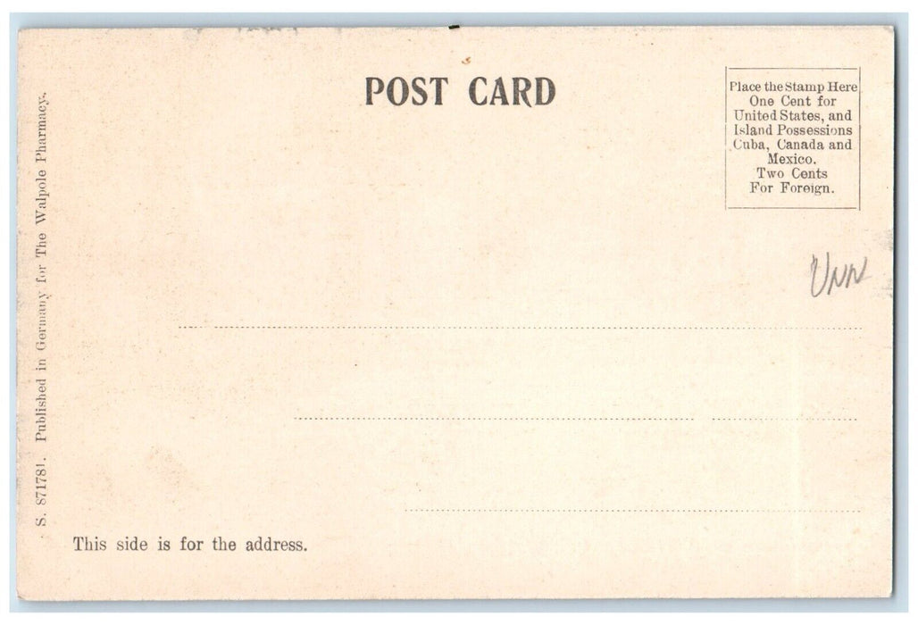 c1905 Westminster St. Walpole Inn Road Walpole New Hampshire NH Vintage Postcard