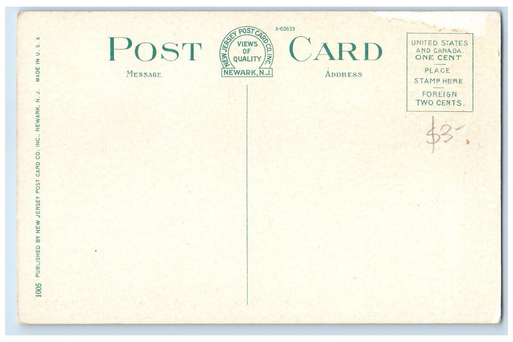 c1920 Aerial View Broad Street Military Park Newark New Jersey Antique Postcard