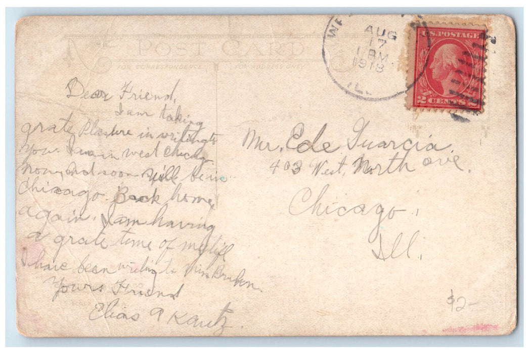 1918 View of Pottawatomie Park St. Charles Illinois IL Antique Postcard